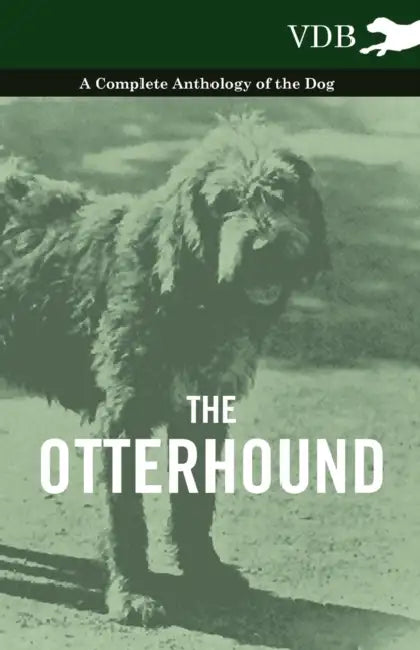 The Otterhound - A Complete Anthology of the Dog by Various