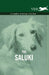 The Saluki - A Complete Anthology of the Dog by Various