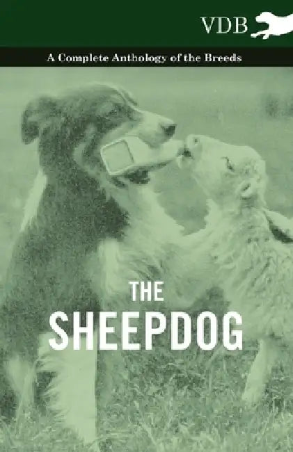 The Sheepdog - A Complete Anthology of the Breeds by Various
