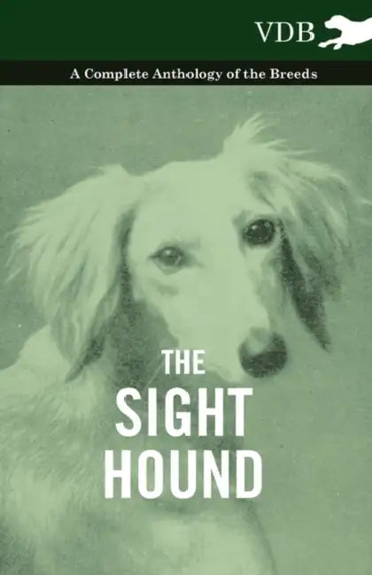 The Sight Hound - A Complete Anthology of the Breeds by Various