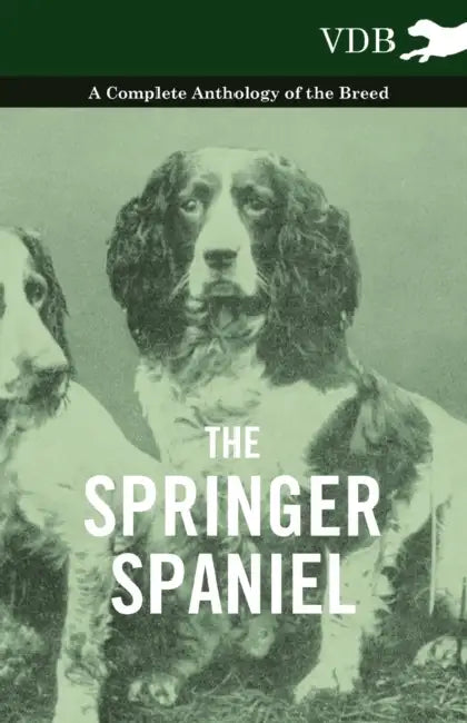 The Springer Spaniel - A Complete Anthology of the Breed by Various
