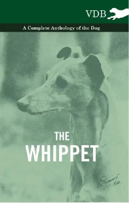 The Whippet - A Complete Anthology of the Dog by Various