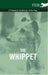 The Whippet - A Complete Anthology of the Dog by Various