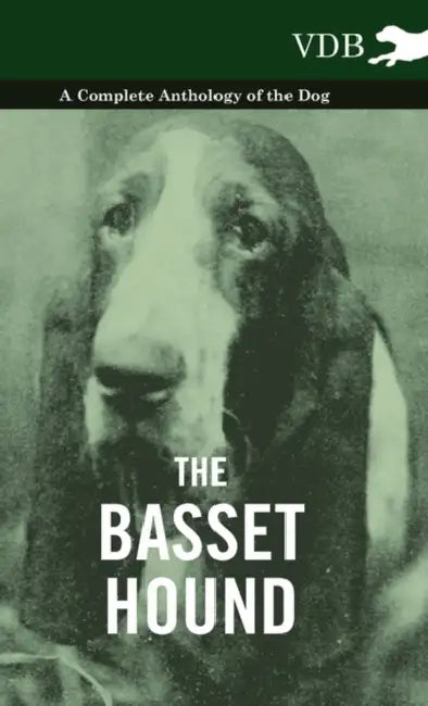 The Basset Hound - A Complete Anthology of the Dog - by Various