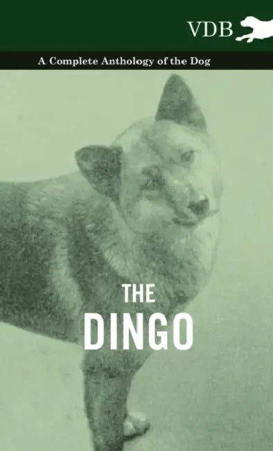 The Dingo - A Complete Anthology of the Dog - by Various