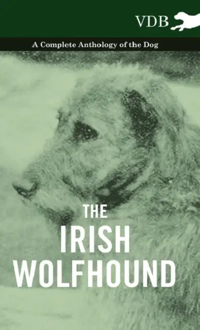 The Irish Wolfhound - A Complete Anthology of the Dog by Various