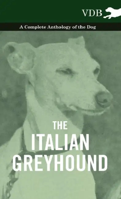 The Italian Greyhound - A Complete Anthology of the Dog by Various