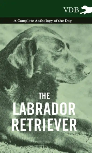 The Labrador Retriever - A Complete Anthology of the Dog by Various