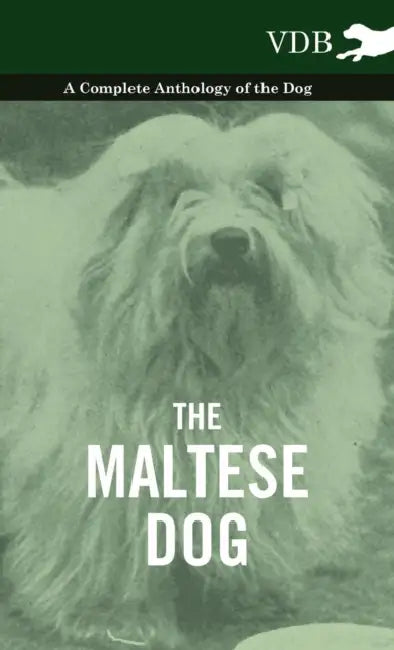 The Maltese Dog - A Complete Anthology of the Dog by Various