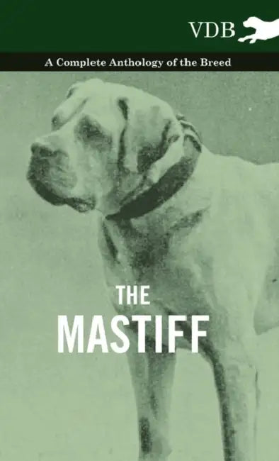 The Mastiff - A Complete Anthology of the Breed by Various
