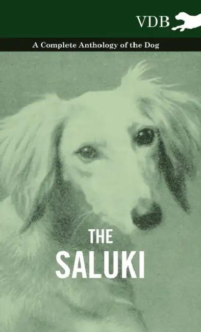 The Saluki - A Complete Anthology of the Dog by Various