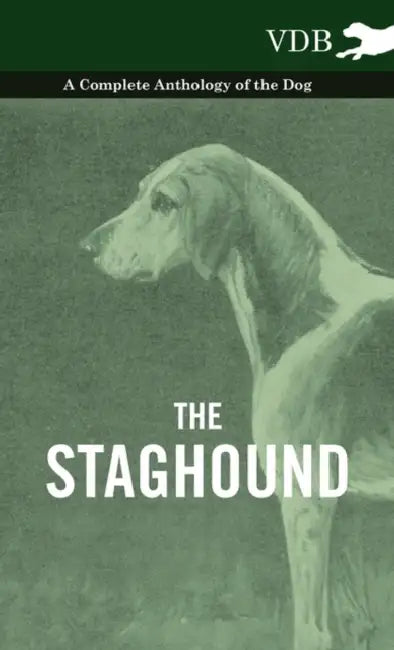 The Staghound - A Complete Anthology of the Dog by Various