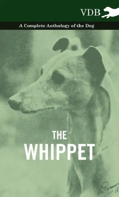 The Whippet - A Complete Anthology of the Dog by Various