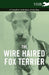 The Wire Haired Fox Terrier - A Complete Anthology of the Dog by Various