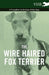 The Wire Haired Fox Terrier - A Complete Anthology of the Dog by Various
