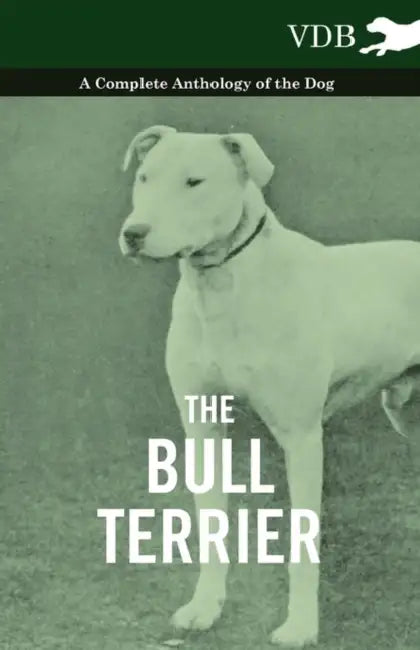 The Bull Terrier - A Complete Anthology of the Dog - by Various
