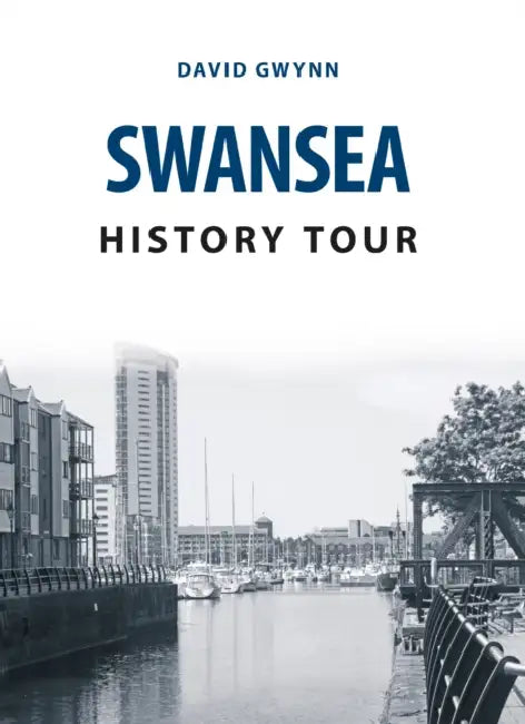 Swansea History Tour by David Gwynn