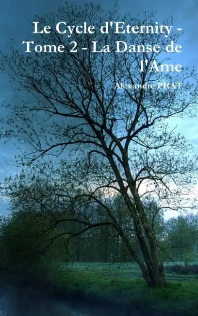 Le Cycle d'Eternity - Tome 2 - La Danse de l'Ame by Alexandre Prat