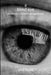 A blind eye: perception by Phil Lloyd
