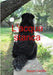 L'acqua stanca by Beppe Cardile