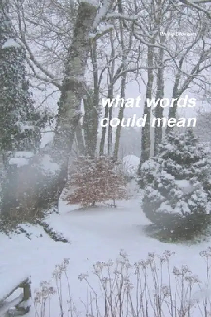 What Words Could Mean by Phillip Bloxham