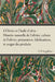 L'Olivier Et l'Huile d'Olive - Histoire Naturelle de l'Olivier, Culture de l'Olivier, Prã(c)Paration, Falsifications, Et Usages Des Produits by P. D'Aygalliers