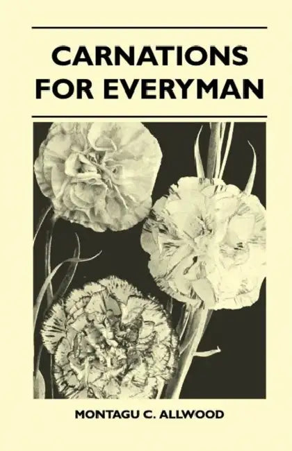 Carnations For Everyman by Montagu C. Allwood