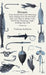 How to Catch Bream - By Twelve Different Methods by Various Authors