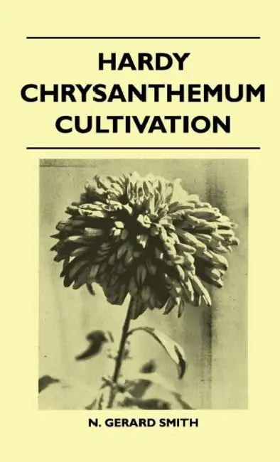 Hardy Chrysanthemum Cultivation by N. Gerard Smith