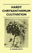 Hardy Chrysanthemum Cultivation by N. Gerard Smith