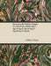 Nocturnes by Fr D Ric Chopin for Solo Piano (1846) Op.9 Op.15 Op.27 Op.32 Op.37 Op.48 Op.55 Op.62 by Frédéric Chopin