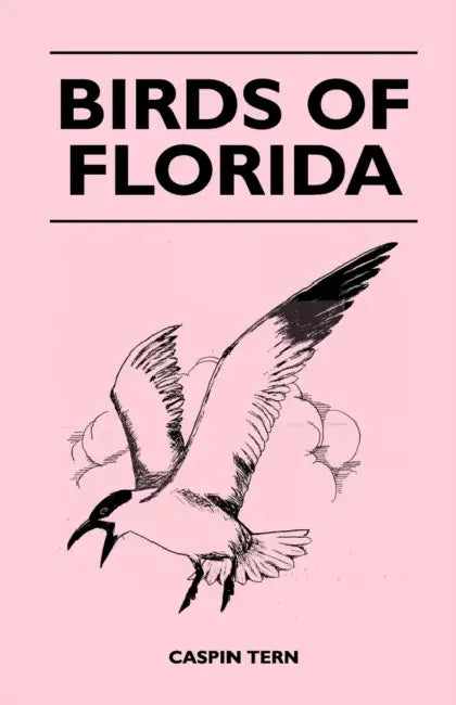 Birds of Florida by Caspin Tern