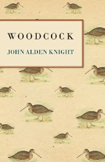 Woodcock by John Alden Knight