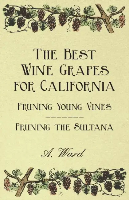 The Best Wine Grapes for California - Pruning Young Vines - Pruning the Sultana by Frederic T. Bioletti