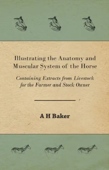 Illustrating the Anatomy and Muscular System of the Horse - Containing Extracts from Livestock for the Farmer and Stock Owner by A. H. Baker