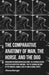 The Comparative Anatomy of Man, the Horse, and the Dog - Containing Information on Skeletons, the Nervous System and Other Aspects of Anatomy: Part IV by John Stainer