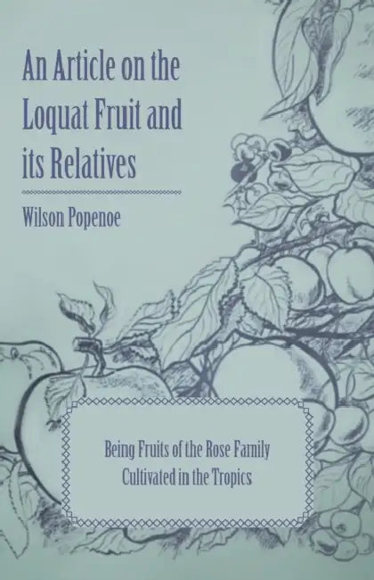 An Article on the Loquat Fruit and Its Relatives - Being Fruits of the Rose Family Cultivated in the Tropics by Wilson Popenoe