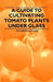 A Guide to Cultivating Tomato Plants Under Glass by W. E. Shewell-Cooper