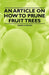 An Article on How to Prune Fruit Trees by Frank A. Waugh