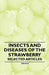 Insects and Diseases of the Strawberry - Selected Articles by Various