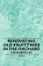 Renovating Old Fruit Trees in the Orchard - Four Articles by Various