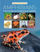 Practical Pets Series: Amphibians by David Alderton