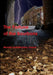 The Fortune of the Bourbons by Murder and Mystery Game