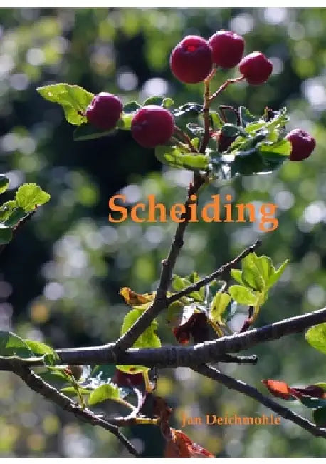 Scheiding by Jan Deichmohle