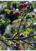 Scheiding by Jan Deichmohle