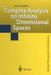 Complex Analysis on Infinite Dimensional Spaces by Sean Dineen