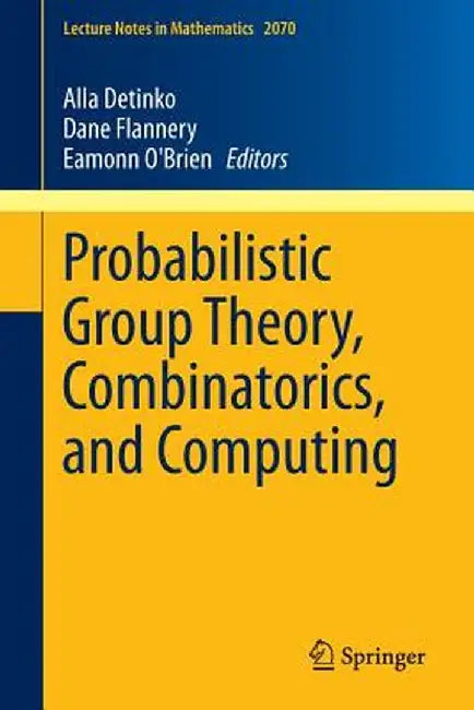 Probabilistic Group Theory, Combinatorics, and Computing: Lectures from the Fifth de Brún Workshop by Alla Detinko