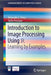 Introduction to Image Processing Using R: Learning by Examples by Alejandro C. Frery
