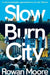 Slow Burn City: London in the Twenty-First Century by Rowan Moore
