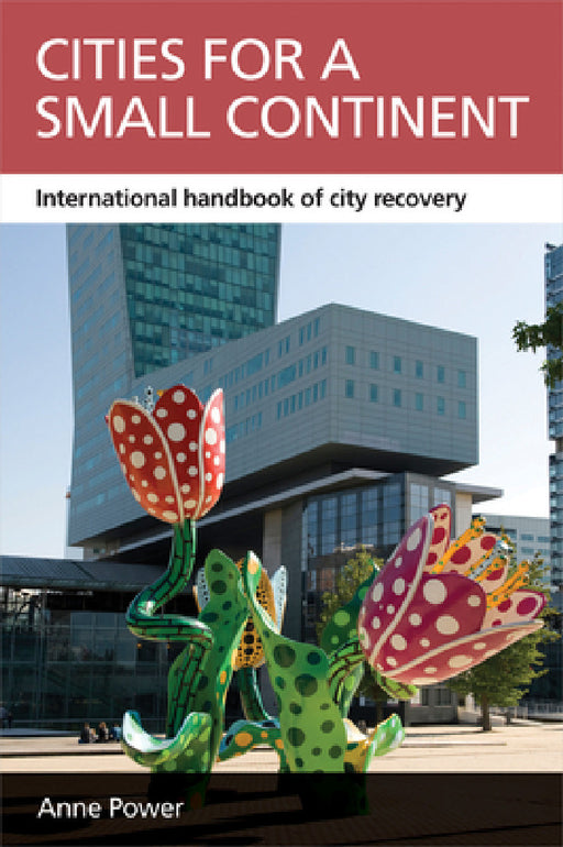 Cities for a Small Continent: International Handbook of City Recovery by Anne Power